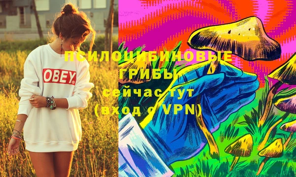 ешки Волосово