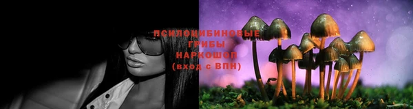 твердый Вязьма