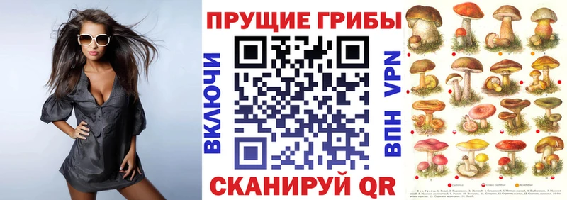 Галлюциногенные грибы Psilocybe  Дорогобуж 